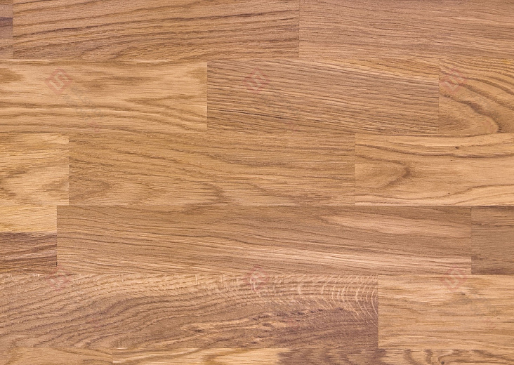 Паркетная доска Focus Floor Дуб Libeccio 3S