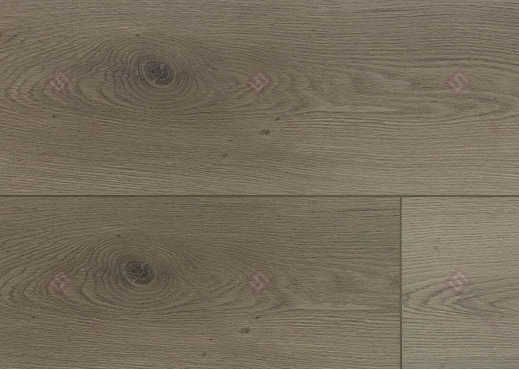 SPC ламинат Floorwood Quantum Дуб Кэмбел 6537