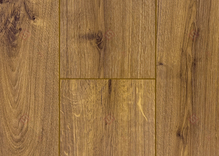 Ламинат Floorwood Paradigma Дуб Новион 8317