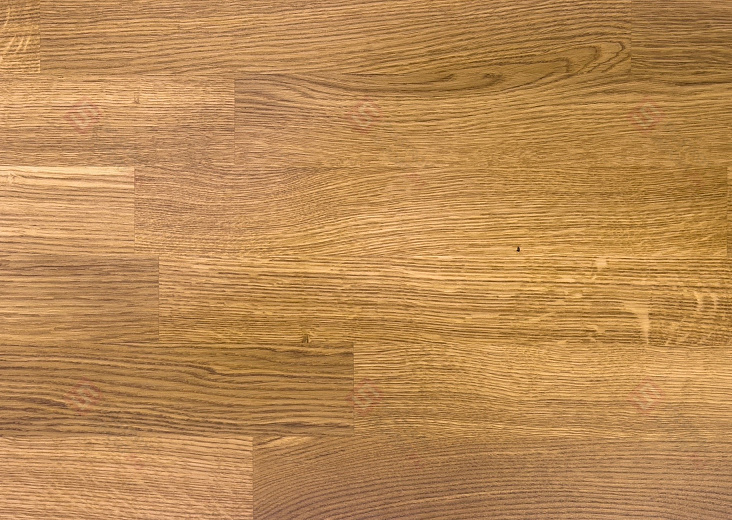 Паркетная доска Focus Floor Дуб Sirocco Laquered 3S