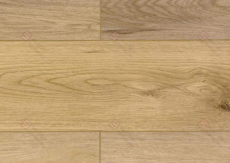 SPC ламинат Damy Floor Family Дуб Кавказский 9531-2А