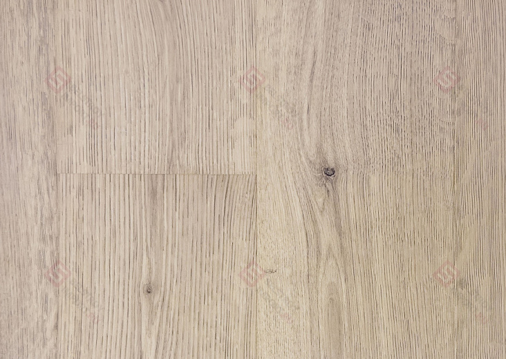 Дуб Полярная звезда IM8600