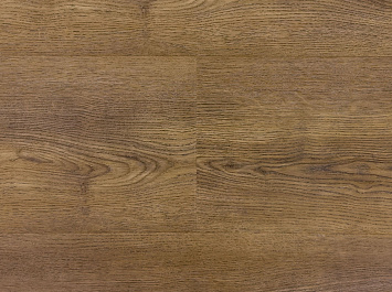 Дуб прибрежный OSPC20265