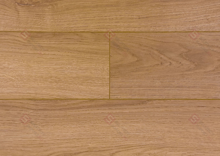 Ламинат Icon Floor Lime Ultra Дуб Спрингстин LM-407