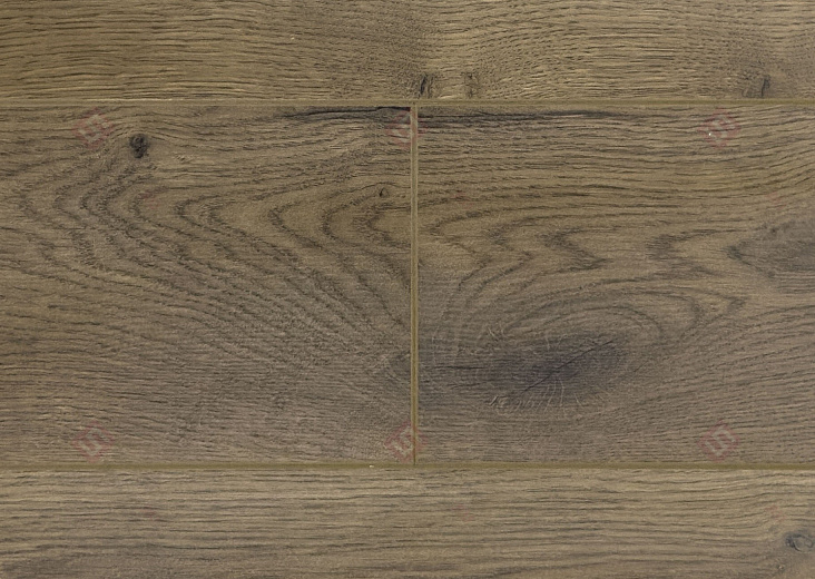 Ламинат FLoor a House Premium 10 мм Дуб York B 564