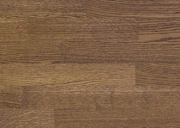 Паркетная доска Focus Floor Дуб Santa Ana Oiled 3S