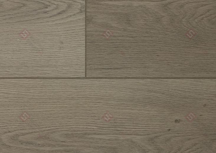 SPC ламинат Floorwood Quantum Дуб Кэмбел 6537