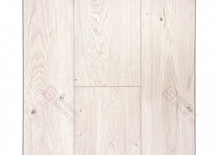 Дуб Барлоу ROC02