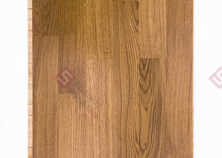 Паркетная доска Focus Floor Дуб Levante 3S