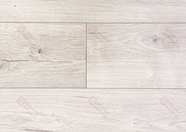 Дуб Гудвин ROC04