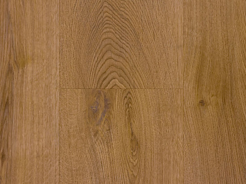 Дуб пустынный OSPC20264