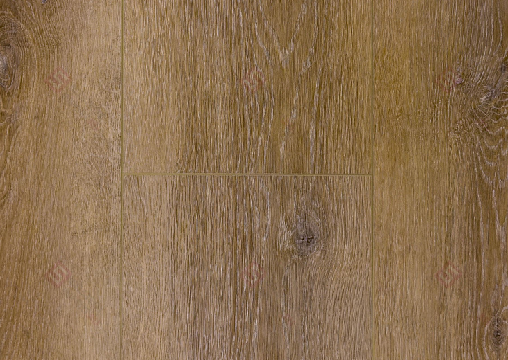 Дуб Вестерн