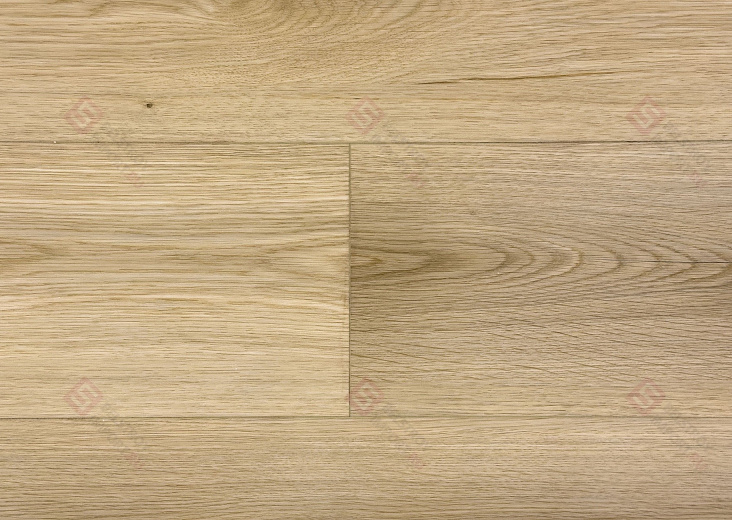 SPC ламинат Floorwood Quantum Дуб Тэйлор 9517