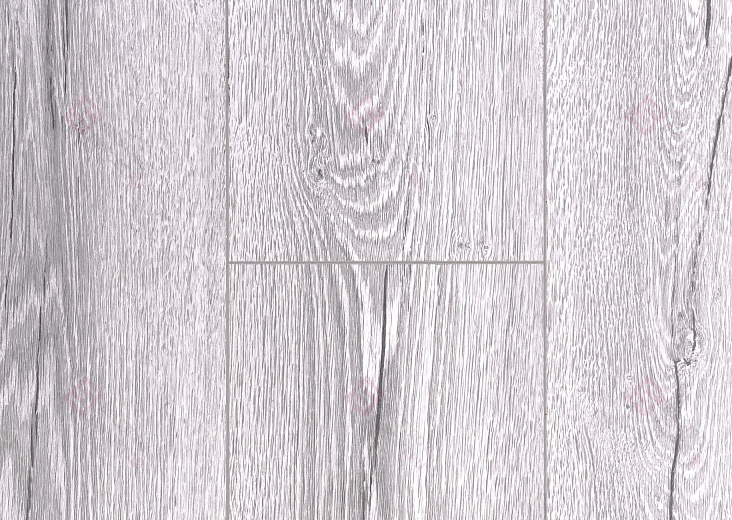 Вяз Фишер ROC03