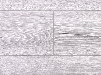 Вяз Фишер ROC03