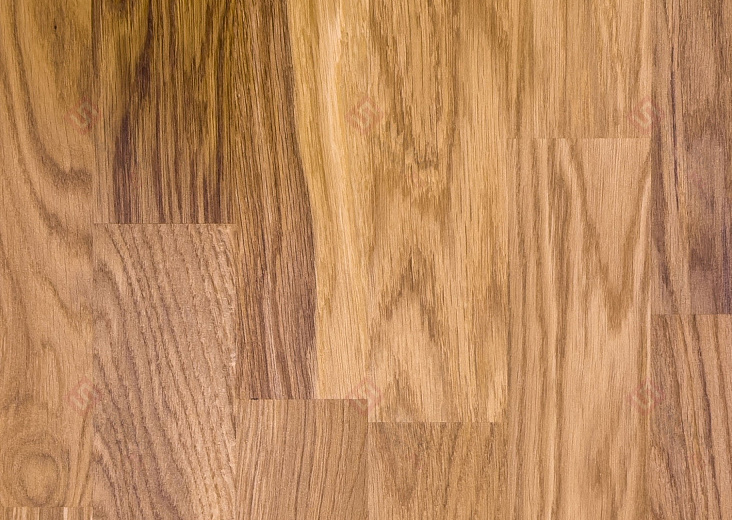 Паркетная доска Focus Floor Дуб Libeccio 3S
