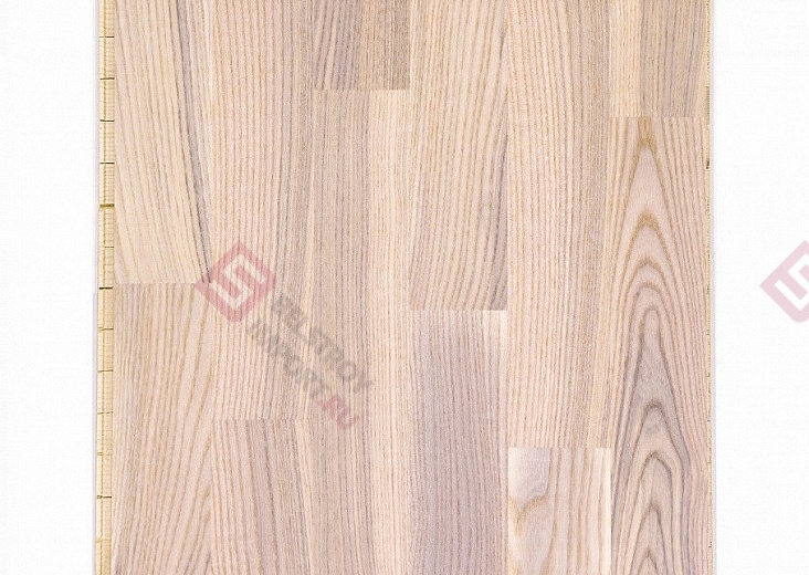 Паркетная доска Focus Floor Ясень Mistral White Matt 3S