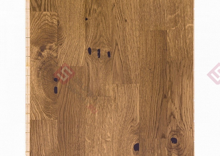 Дуб Zephyr Oiled 3S