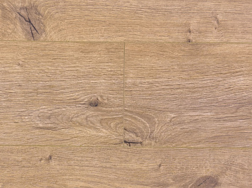 Дуб Арделан ROC45