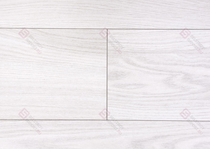 Дуб Арчи ROC01