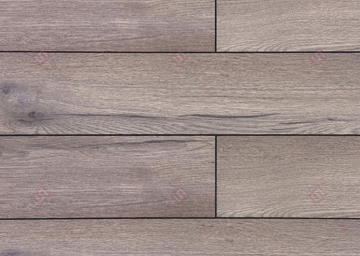 Дуб Пеллегрин ROC74