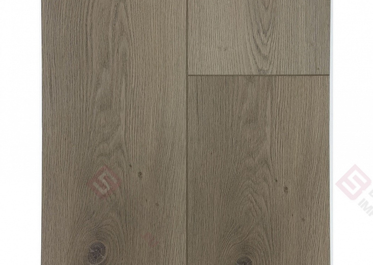 SPC ламинат Floorwood Quantum Дуб Кэмбел 6537