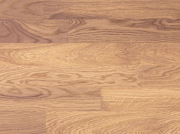 Паркетная доска Focus Floor Трехполосная Дуб Ostro White Matt 3S