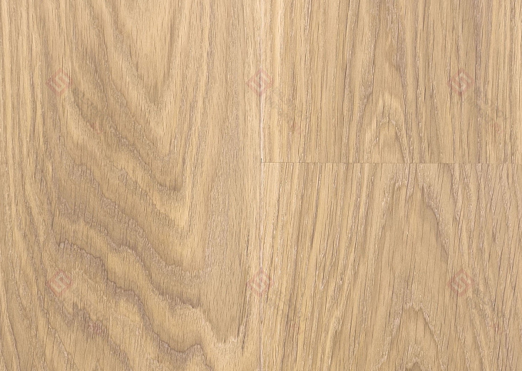 Паркетная доска Focus Floor Дуб Prestige Calima White Oiled 1S
