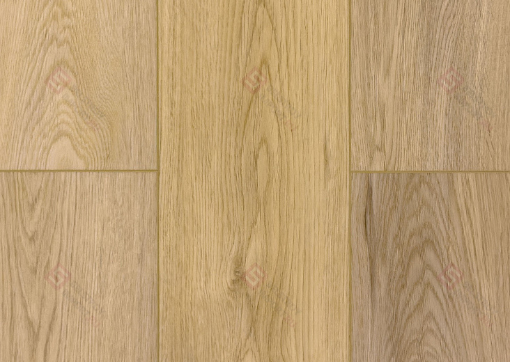 SPC ламинат Damy Floor Family Дуб Кавказский 9531-2А