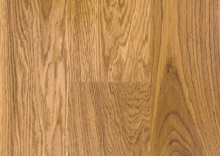 Паркетная доска Focus Floor Дуб 138 Levante Laquered 1S
