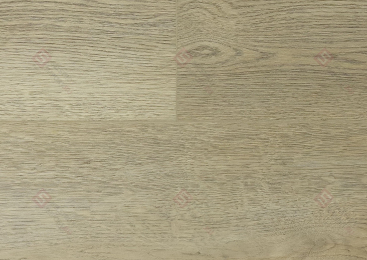 SPC ламинат Floorwood Quantum Дуб Вильсон 8604