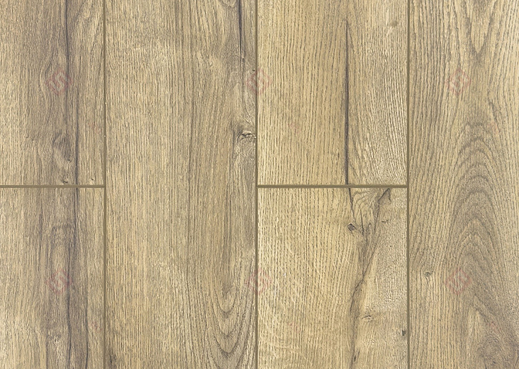 Ламинат FLoor a House Premium 10 мм Дуб Lagom B 557