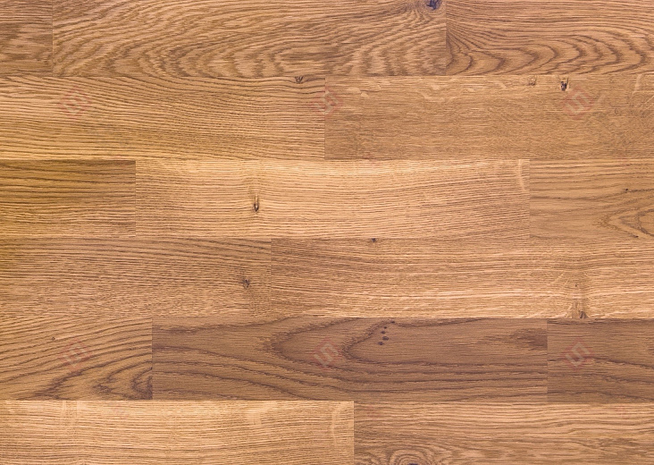 Паркетная доска Focus Floor Дуб Khamsin Laquered 3S