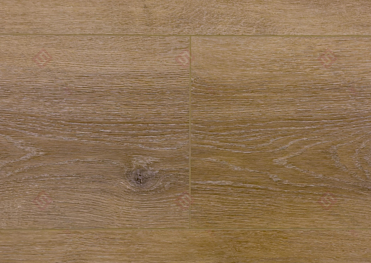 Дуб Вестерн