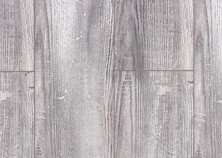 Дуб Дитрих ROC42