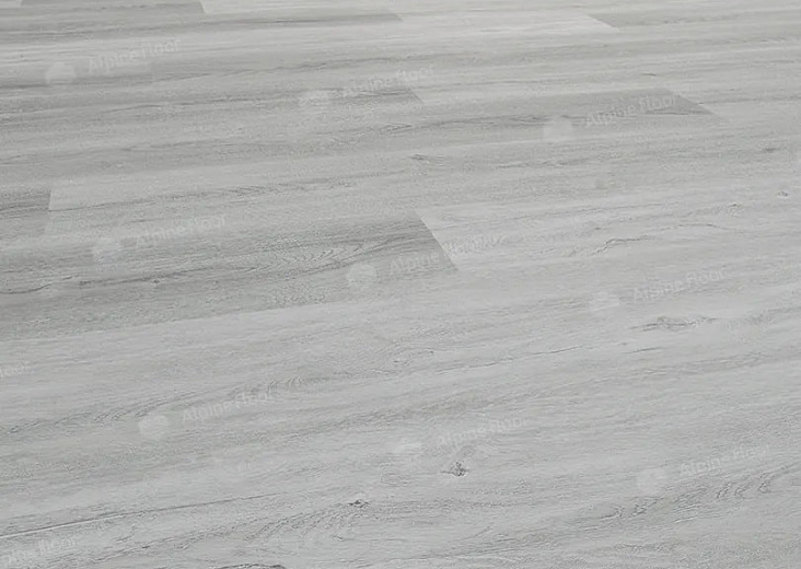 SPC ламинат Alpine Floor Solo Маэстоса ЕСО 14-9 - фото интерьера