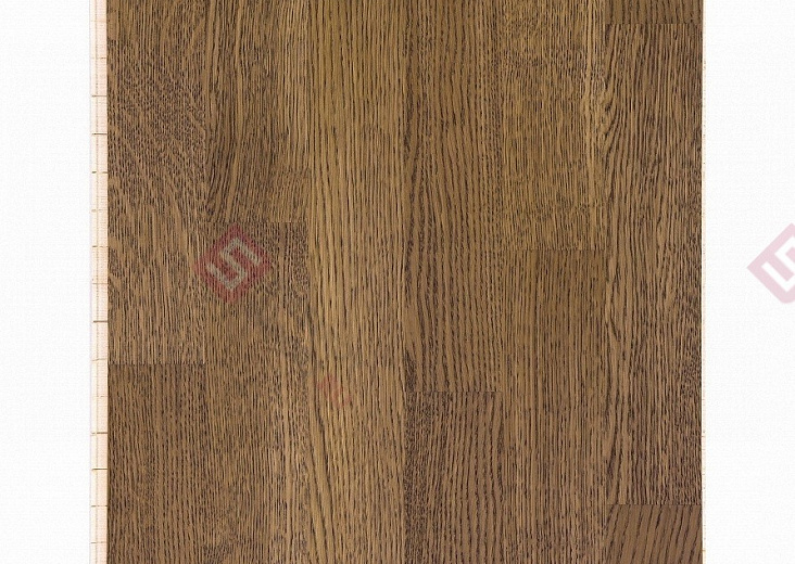 Паркетная доска Focus Floor Дуб Santa Ana Oiled 3S