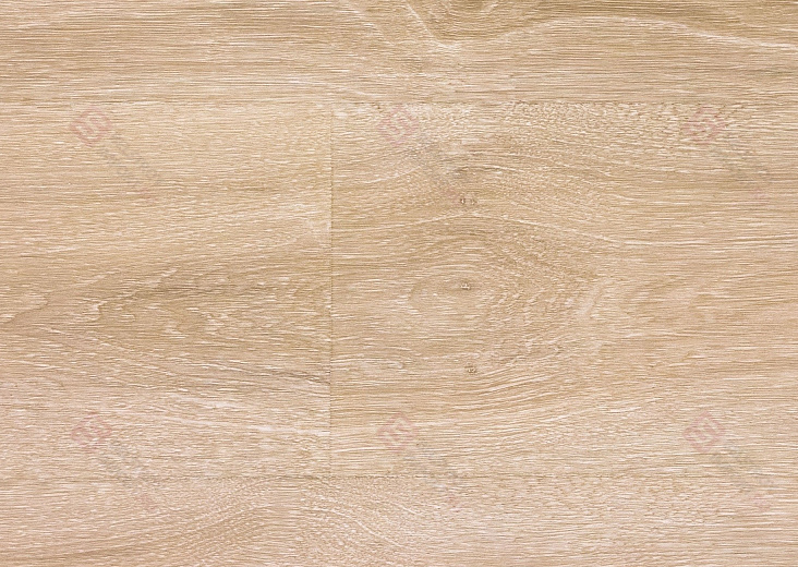 Дуб Рассветный IM8472