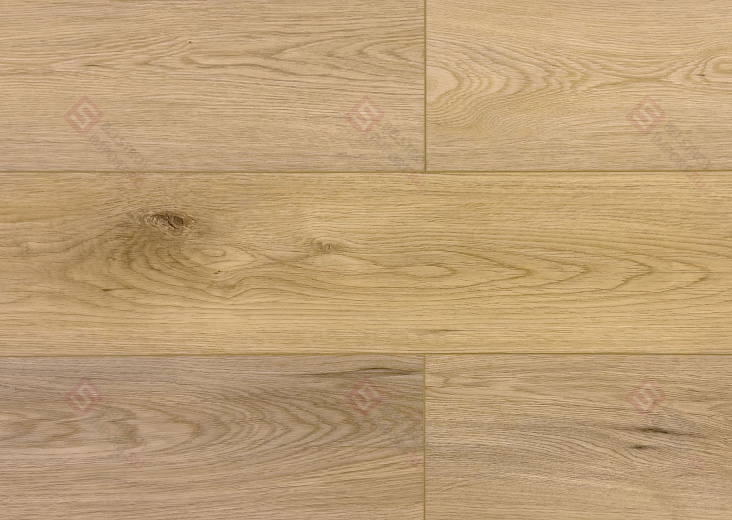 SPC ламинат Damy Floor Family Дуб Кавказский 9531-2А