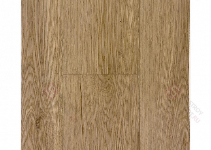 SPC ламинат Floorwood Quantum Дуб Робертс 9567