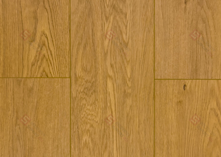 SPC ламинат Damy Floor Family Дуб Медовый DF03-F