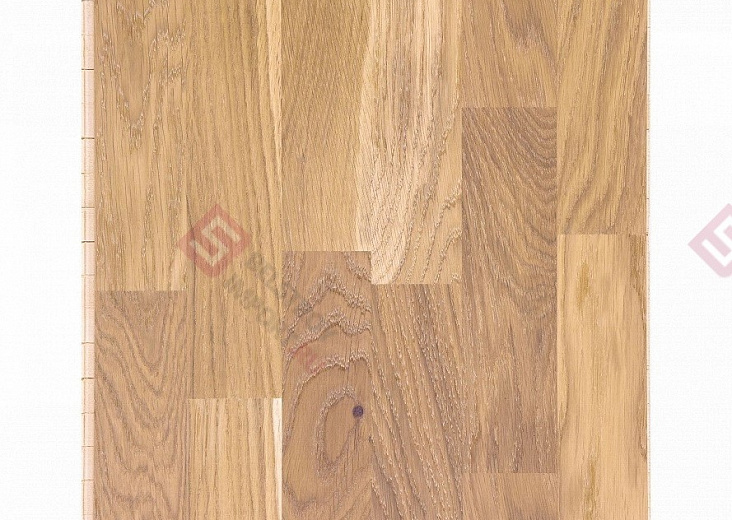 Паркетная доска Focus Floor Трехполосная Дуб Calima White Oiled 3S