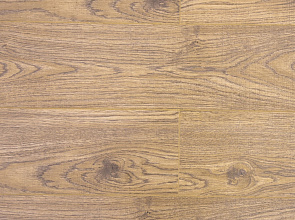 Дуб Гилберт ROC49