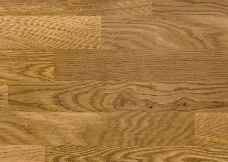 Паркетная доска Focus Floor Дуб Libeccio High Gloss 3S