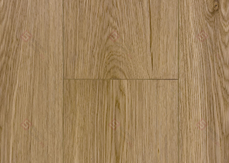 SPC ламинат Floorwood Quantum Дуб Робертс 9567