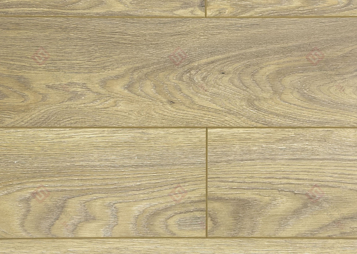 Ламинат FLoor a House Premium 10 мм Дуб Rosarno B 519