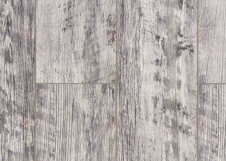 Дуб Баярд ROC43