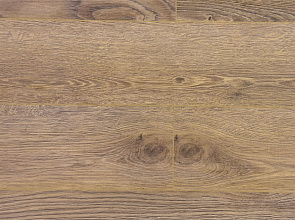 Дуб Бертон ROC46