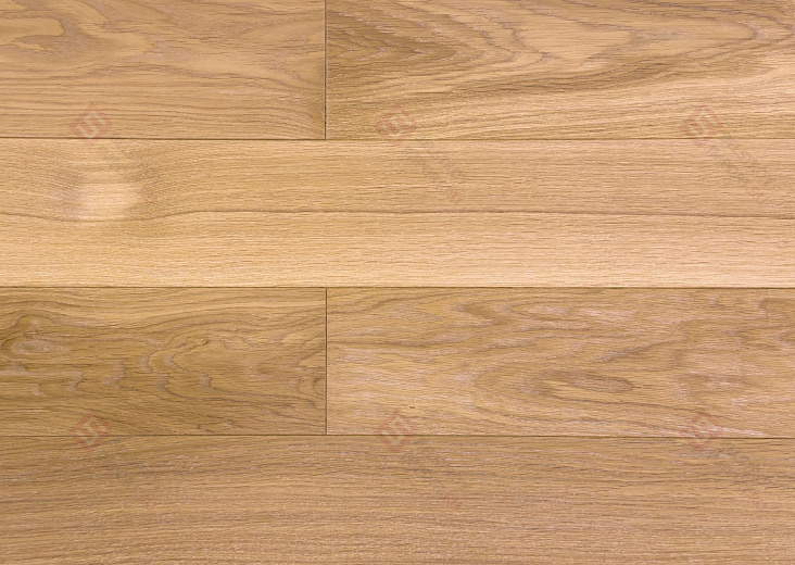 Инженерная доска Golden Wood Дуб Жемчуг Совиньон Селект