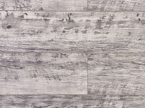 Дуб Баярд ROC43